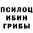 Галлюциногенные грибы мицелий Alexis Retzepis