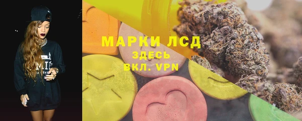 прущие грибы Аркадак