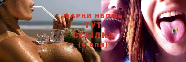 прущие грибы Аркадак