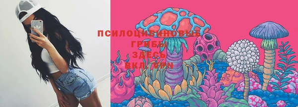 прущие грибы Аркадак