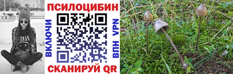 закладка  Нягань  ссылка на мегу сайт  Галлюциногенные грибы MAGIC MUSHROOMS 